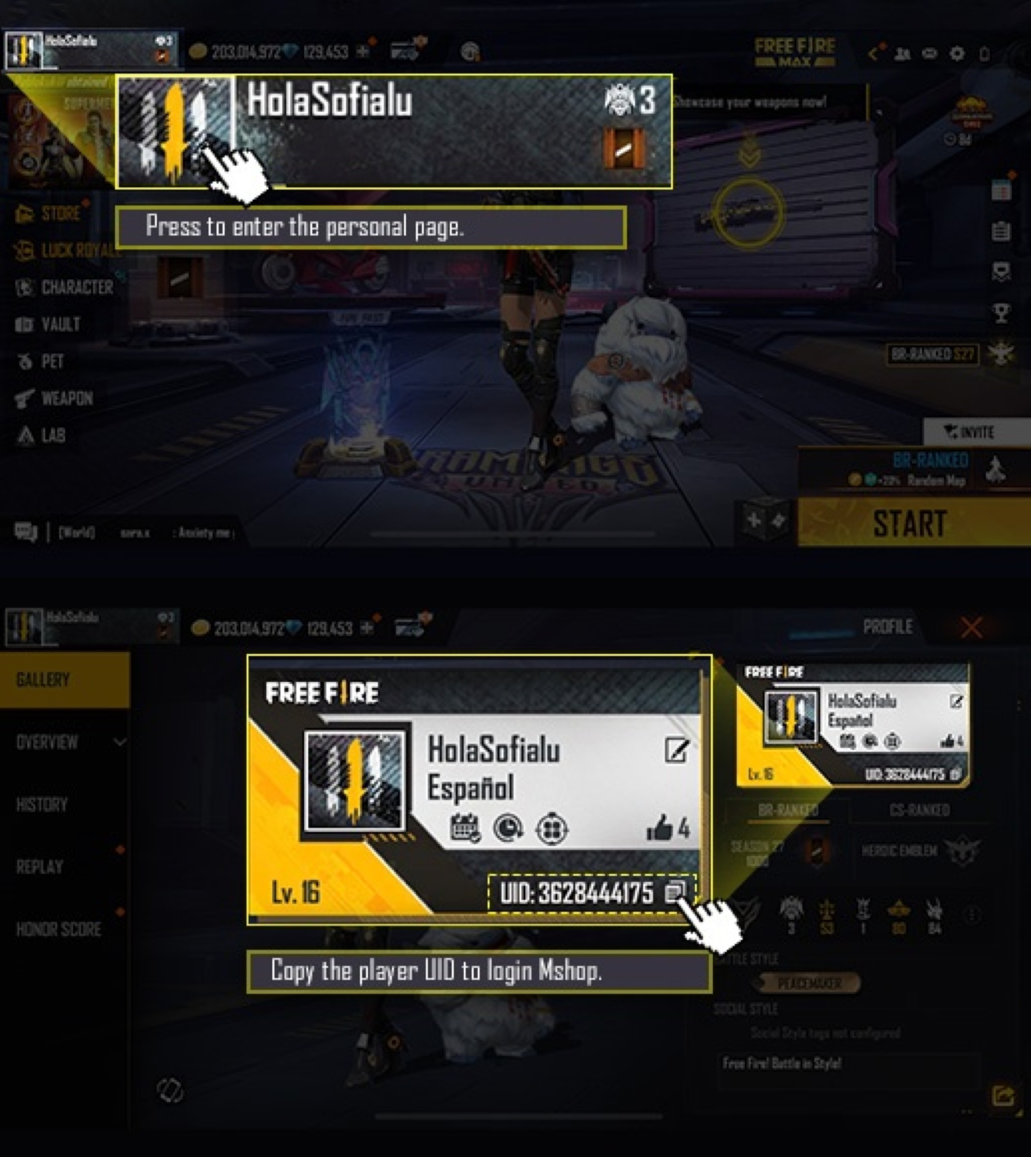 Guia de ID